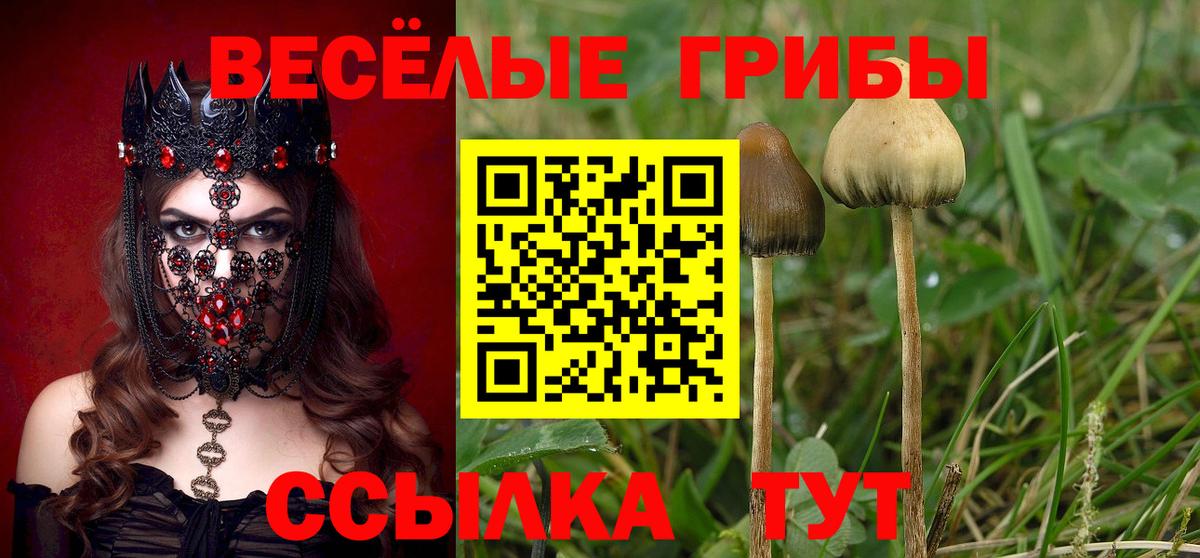 Псилоцибиновые грибы Psilocybe  Вход с VPN  Ипатово 
